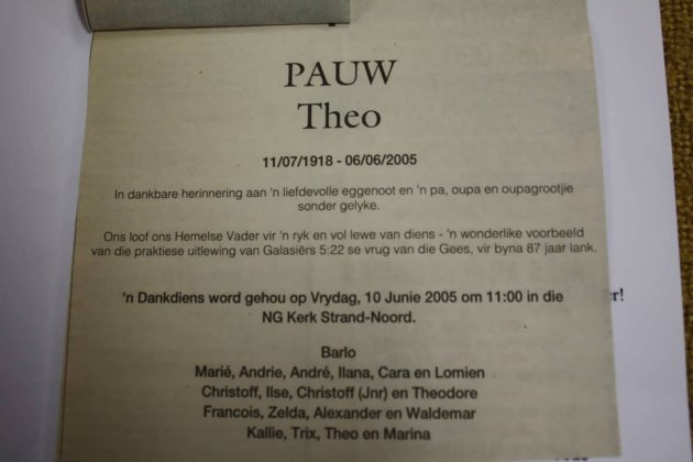 PAUW, Theo 1918-2005-3
