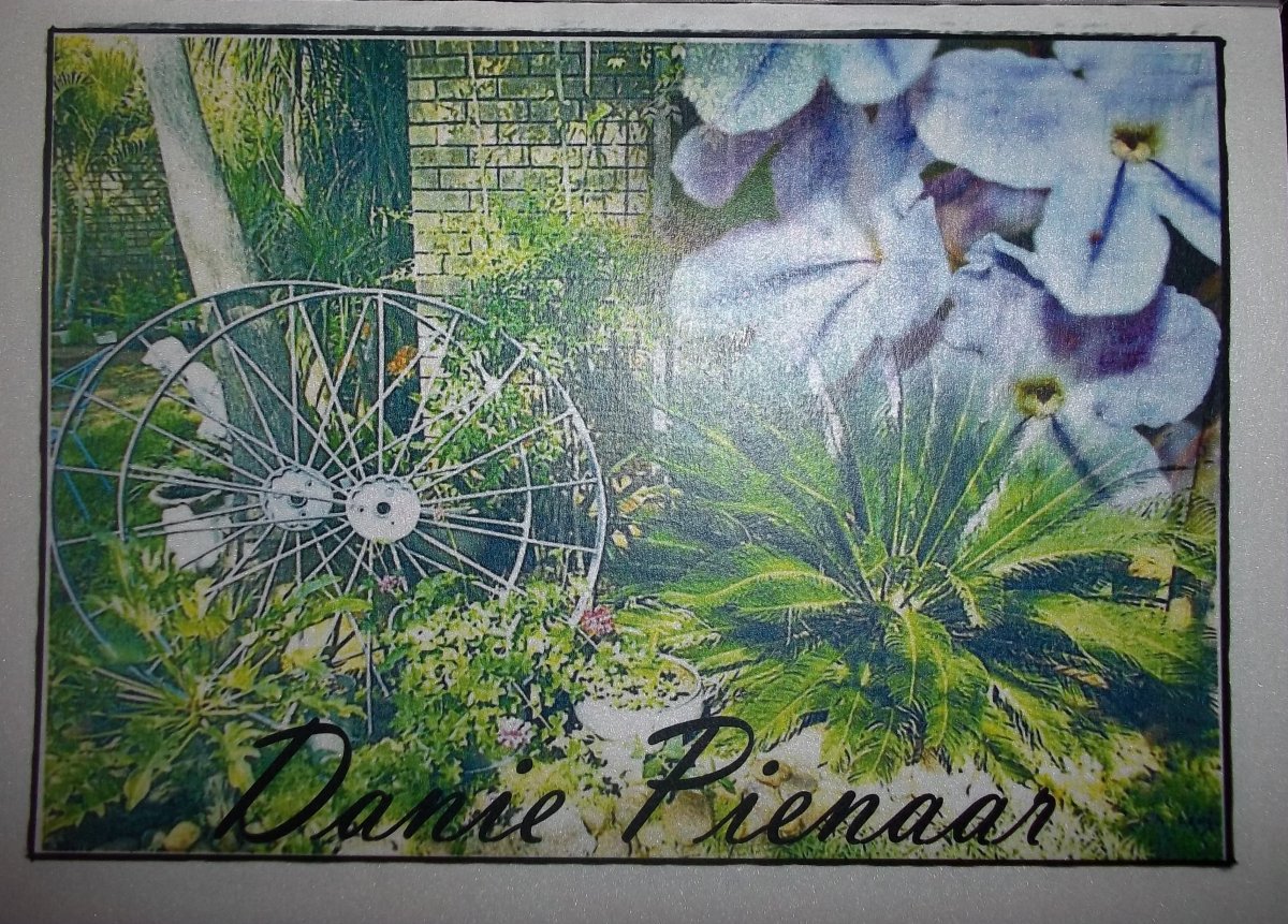 PIENAAR-Daniel-Petrus-Nn-Danie-1917-2011-M_1