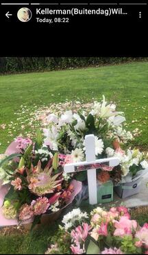 PINFOLD-Francina-Johanna-Nn-Francie-nee-Buitendach-1955-2025-F-07