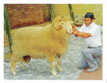 PREEZ-DU-Jakobus-Nn-Kosie-1939-2012-M_99
