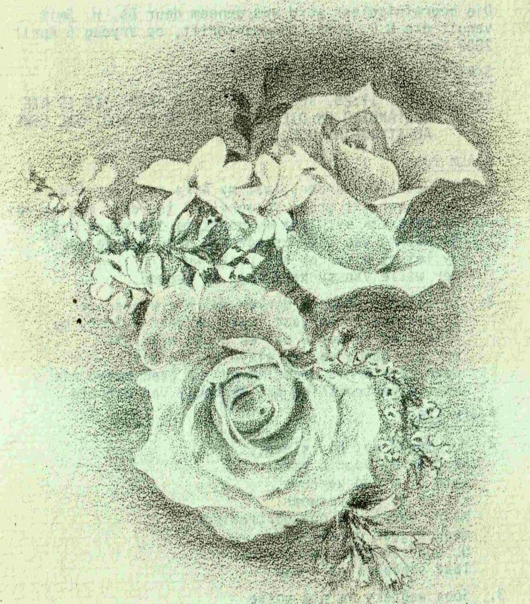 PRETORIUS-Martha-Maria-1955-2002-F_01