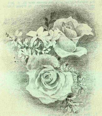 PRETORIUS-Martha-Maria-1955-2002-F