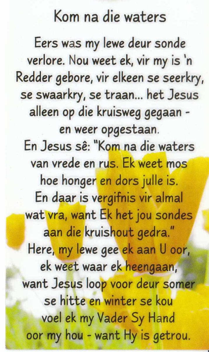REYNECKE-Albertus-Thomas-1972-2008-M-97