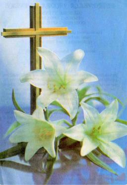 REYNEKE-Petronella-Jacoba-nee-Steyn-1949-2009-F