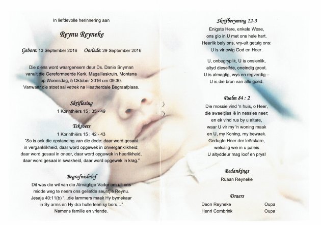 REYNEKE-Reynu-2016-2016-M_2