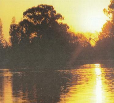 ROUX-Daniel-Jacobus-UnkDate-Unkdate-M