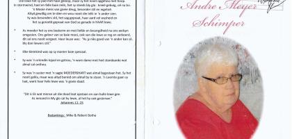 SCHIMPER-Andre-Meyer-1932-2012-F