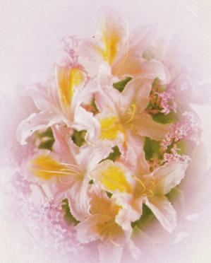 SHARP-Eliza-Lucy-1937-1991-F_01