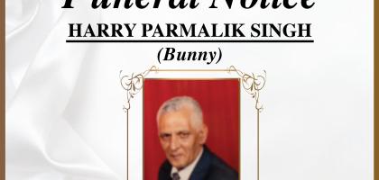 SINGH-Harry-Parmalik-Nn-Bunny-0000-2020-M