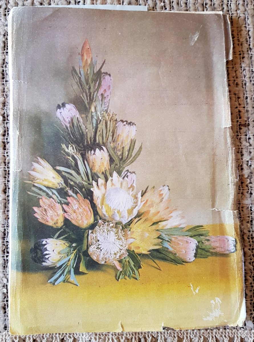 SMIT-Wynand-Jacobus-1936-1982-M_1