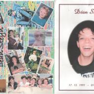 STEYN-Dean-1991-2011_1