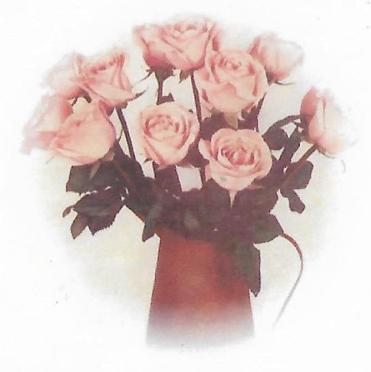 STEYN-Magdalena-Gertruida-1925-2010-F_98