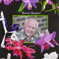 STRYDOM-Ronald-Hugo-Nn-Ronnie-1941-2011-M_99