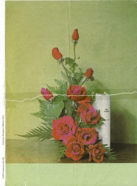 TOIT-DU-Olive-Irene-1912-1989-F