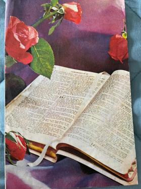 TRIEHOFF-Surnames-Vanne