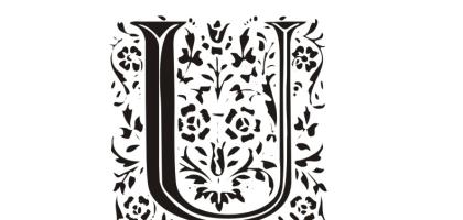 U-Surnames---Vanne-U