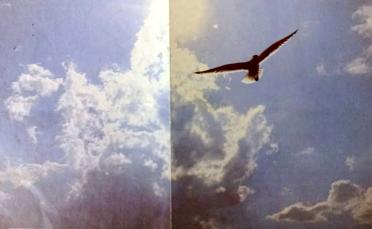 VOGEL-Cornelius-Jansen-1926-2004-M_98