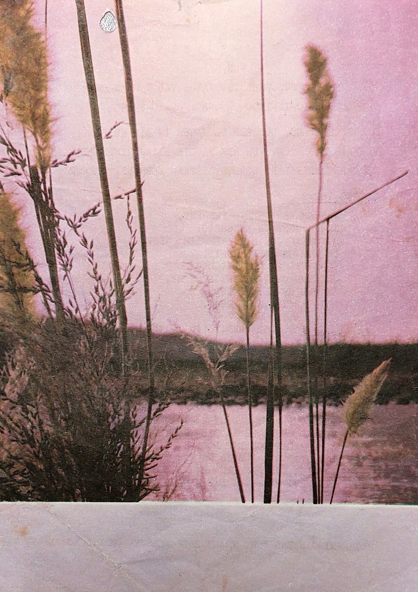 VUUREN-JANSE-VAN-Phillippus-Theunis-1900-1976-M_2