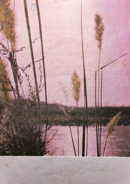 VUUREN-JANSE-VAN-Phillippus-Theunis-1900-1976-M_2