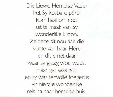 WENTZEL-Zeldene-1968-2023-F_7