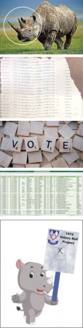 Voters project