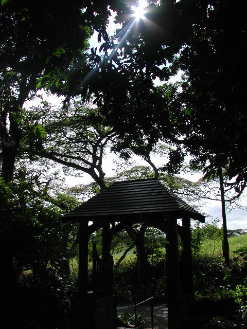 EPSON DSC picture EPSON DSC picture