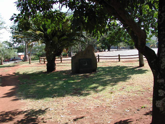 EPSON DSC picture EPSON DSC picture