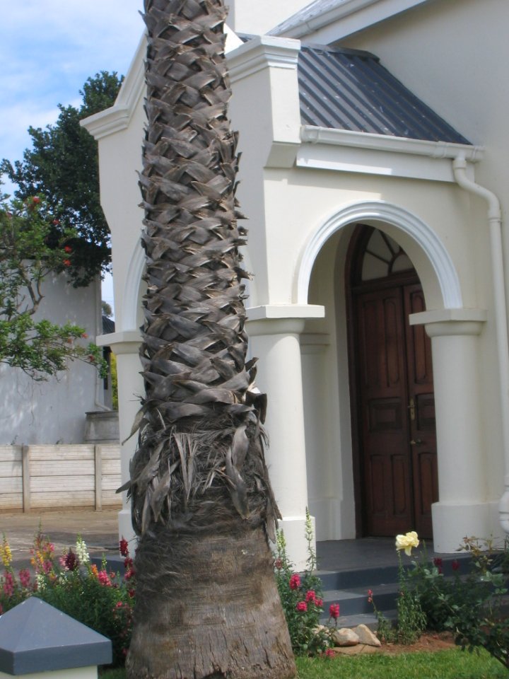 WC.WK-RIVERSDAL.RIVERSDALE-NuweApostolieseKerk-2005 (12) WC.WK-RIVERSDAL.RIVERSDALE-NuweApostolieseKerk-2005 (12)